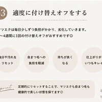画像254